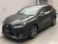 2019 Lexus NX