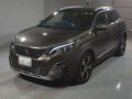 2019 Peugeot 3008