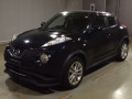 2011 Nissan JUKE