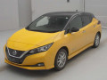 2019 Nissan Leaf
