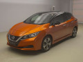 2020 Nissan Leaf