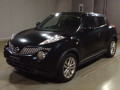 2013 Nissan JUKE