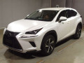 2019 Lexus NX