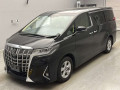 2020 Toyota Alphard