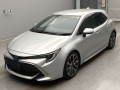 2021 Toyota Corolla Sports
