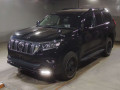 2019 Toyota Land Cruiser Prado