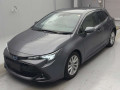 2023 Toyota Corolla Sports