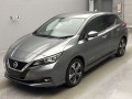 2021 Nissan Leaf