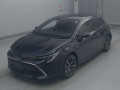 2019 Toyota Corolla Sports
