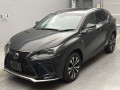 2019 Lexus NX