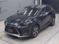 2021 Lexus NX