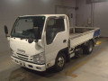 2020 Isuzu Elf Truck