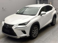 2020 Lexus NX