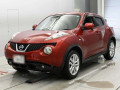 2011 Nissan JUKE