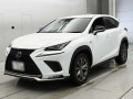 2020 Lexus NX