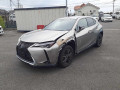 2019 Lexus UX