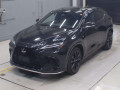 2024 Lexus NX