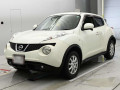 2011 Nissan JUKE