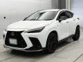 2025 Lexus NX