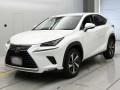 2017 Lexus NX