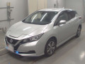 2020 Nissan Leaf