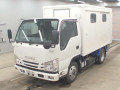 2017 Isuzu Elf Truck