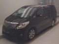 2008 Toyota Alphard