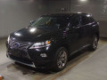 2013 Lexus RX
