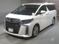 2020 Toyota Alphard