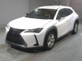 2019 Lexus UX