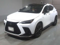 2024 Lexus NX