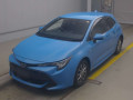 2019 Toyota Corolla Sports