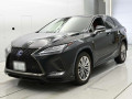 2019 Lexus RX