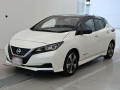 2021 Nissan Leaf