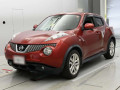 2013 Nissan JUKE