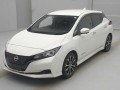 2021 Nissan Leaf