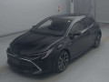 2020 Toyota Corolla Sports