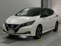 2019 Nissan Leaf