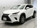 2019 Lexus NX