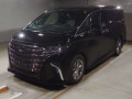 2024 Toyota Alphard
