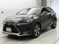 2021 Lexus NX