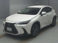2023 Lexus NX