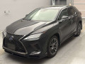 2021 Lexus RX