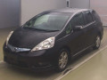 2011 Honda Fit Shuttle Hybrid