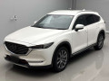 2019 Mazda CX-8