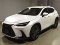 2022 Lexus NX