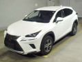 2019 Lexus NX