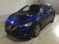 2019 Nissan Leaf