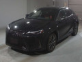 2021 Lexus UX
