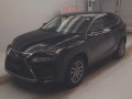2019 Lexus NX